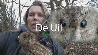 De Uil  Juf in de natuur [upl. by Ruthe900]