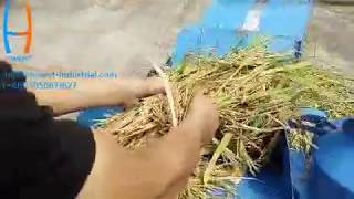 HONEST 5TG40 Home Use Small Wheat Thresher Rice Threshing Machine [upl. by Bate]