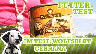 HundefutterTest Wolfsblut Cebrana Nassfutter Getreidefrei [upl. by Nikita]