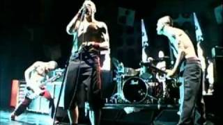 Red Hot Chili Peppers  Subterranean Homesick Blues  Live Off The Map HD [upl. by Votaw36]