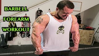 Intense 5 Minute Barbell Forearm Workout [upl. by Gretchen129]