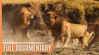 Hunting and being hunted in Kenyas Masai Mara  Full Documentary [upl. by Eenad145]