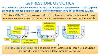 PROPRIETA COLLIGATIVE  La pressione Osmotica [upl. by Bauske776]