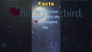 Unbelievable Facts that no one knows about  Fact  46  Facty Wonders [upl. by Ralip678]