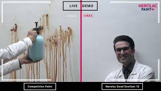 Nerolac Excel Everlast 12 vs Ordinary Paint  Live Demo of Self Cleaning Paint  Nerolac Paint [upl. by Lloyd]