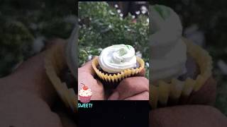 I Made Cupcakes at ovan cupcakes cakes cake decoration [upl. by Bumgardner57]