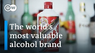 Moutai – Chinas communist spirit  DW Documentary [upl. by Assirahs]