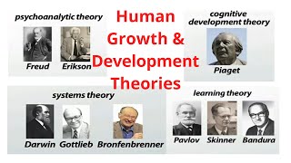 Human Growth and Development Theories [upl. by Purington824]