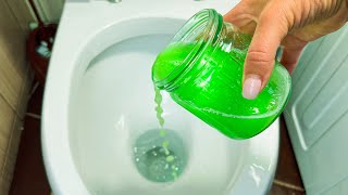 How to clean the toilet from limescale and urinary stones 😱 [upl. by Brentt]