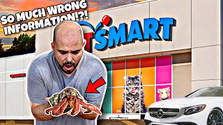 Petsmart Should Not Sell Hermit Crabs [upl. by Ettenad]