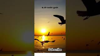 துரோகி Tamil kavi thuligal Ethir Neechal Bgm youtubeshorts tamilshorts shortvideo shorts [upl. by Navert]