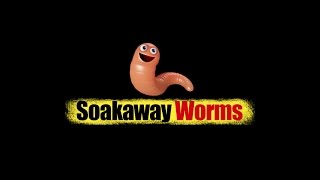 Soakaway Worms [upl. by Kreit450]