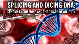 Splicing and Dicing DNA Genome Engineering and the CRISPR Revolution [upl. by Orgell816]