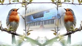 En de vogels zongen met cornet WP Keyboard Music [upl. by Arbba]