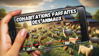 Les Meilleures Cohabitations dAnimaux de Ferme 🐄🐑🐓 [upl. by Radke]