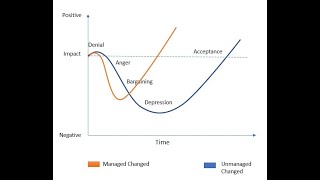 Kubler Ross Change Curve I Part 2 by 99operations [upl. by Anitrak]