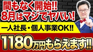 【まだ間に合う】8月にこの制度を使わない企業・個人事業主は格差が付きます！必ずこの補助金を活用してください！ [upl. by Zilla]