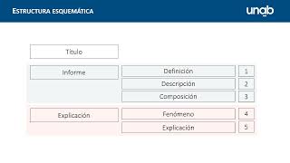 Edición de la Descripción del flujograma  Parte 1 [upl. by Adnaerb]