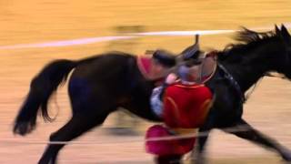 Ukraine Cossacks at Olympia Horse Show [upl. by Ynove216]