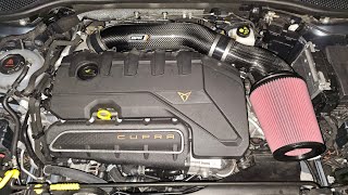 Cupra Formentor VZ5 Sound with APR Intake [upl. by Shelden]