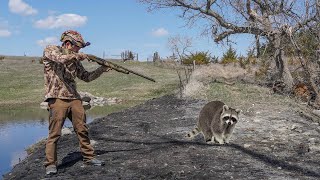 INSANE Daytime Raccoon Calling Coon Hunting [upl. by Marciano]