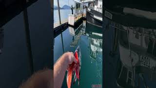 This is why you NEVER get in the water scary ocean alaskafishing [upl. by Narcis]