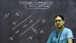 Basic Ornithology Techniques for Studying Communities and Populations [upl. by Annaitsirk]