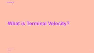 What is Terminal Velocity [upl. by Lipman903]