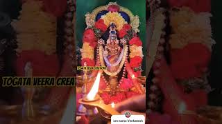 Tirumala tirupati 🙏🏿shortvideos devotional trending [upl. by Orsini]