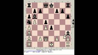 Piroska Istvan vs Almasi Zoltan  Budapest Nuovo B Chess 1992 Hungary [upl. by Bilicki]