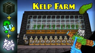 0 Tick KELP FARM Bonemeal XP  Minecraft Bedrock Farm Tutorial  MCPE XBOX PS SWITCH [upl. by Atteynot]