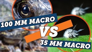 Does Macro Focal Length Matter Featuring Canon Macro Lenses [upl. by Rifkin]