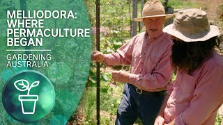 Melliodora – The birthplace of permaculture  Urban Farming  Gardening Australia [upl. by Aldin]