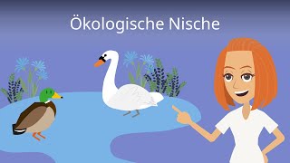 Ökologische Nische einfach erklärt [upl. by Llahsram]