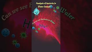 Bacteria in Polluted water biology diy sciencefun ytshorts shorts scienceexpriment experiment [upl. by Nyberg338]