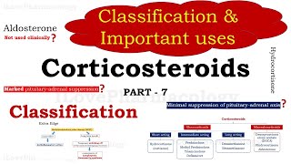 Corticosteroids Part 7  Clssification  Important Uses  Dexamethasone  Prednisolone  Cortisone [upl. by Isleen]