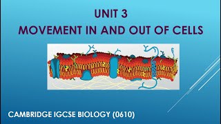 Unit 3  Movement in and out of cells Diffusion [upl. by Naval]