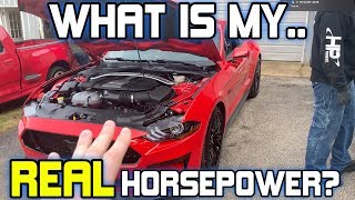 NO BS  This is what a 20182019 Mustang GT Actually makes on a Dyno [upl. by Inga159]