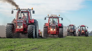 2x Case IH 1455XL  956XL  845  Cultiveren met 4 trekkers [upl. by Gibby]