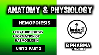 Hematopoiesis  Erythropoiesis  Human Anatomy And Physiology  HAP  B Pharma [upl. by Moyer]