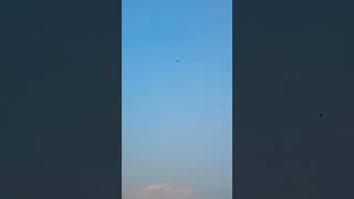 This video shoot is only for you too flying the kite today morning please subscribe my channel [upl. by Itsrejk24]