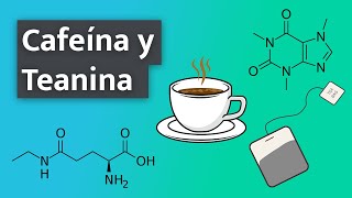 Nootrópicos en Español 6  Cafeína y Teanina [upl. by Gayl637]