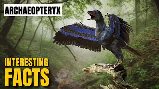 Amazing facts of Archaeopteryx  Interesting Facts  The Beast World [upl. by Fife]