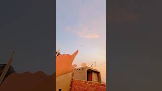 Kiteflying loot water tank ki chhat se patang loot li 🥰kiteflying loot shorts viralvideo [upl. by Lindgren218]