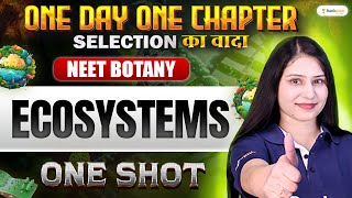 Ecosystems  One Shot  Botany  One Day One Chapter  NEET 2024  Tamsa Mam [upl. by Leonsis]