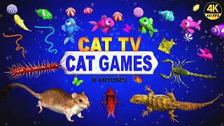 CAT GAMES  ULTIMATE CAT TV COMPILATION FOR FELINE FRIENDS  GAMES FOR CATS 😺 4K 8HOURS [upl. by Green231]