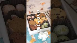 かわいすぎるクッキー缶つくってみた🐶ふだんはフライパンでちぎりパンを紹介してます🍞オーブンなしで作れるパンがたくさんだよ〜！ クッキー缶 cotta 様からのご依頼で撮影しています💁‍♀️ [upl. by Kucik993]