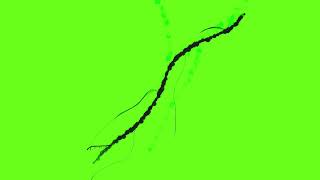 wall crack green screen [upl. by Manning]