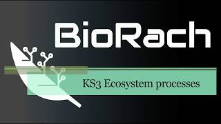 KS3 Biology  Ecosystem processes OVERVIEW Activate 2 B2 [upl. by Llain]