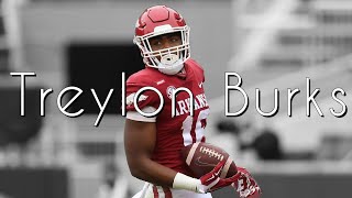 Treylon Burks 2021 Arkansas Razorbacks Highlights ᴴᴰ [upl. by Wightman]